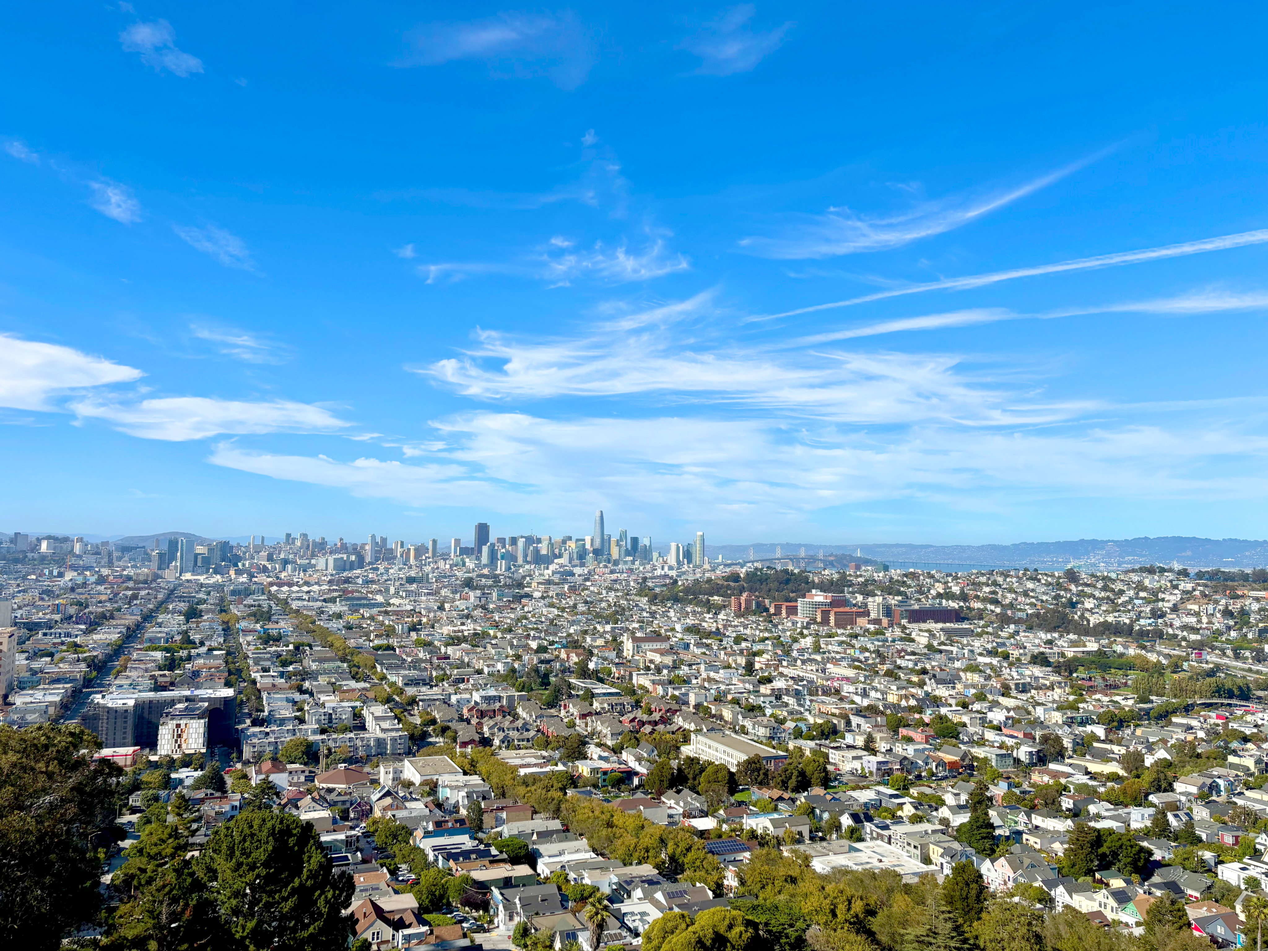 Panoramic view of San Francisco's skyline from Bernal Heights